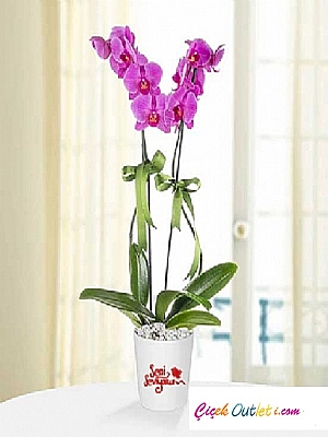 Kisiye �zel Seni Seviyorum Orkide